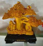 Cây tài lộc vàng