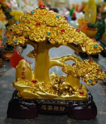 Cây tài lộc vàng